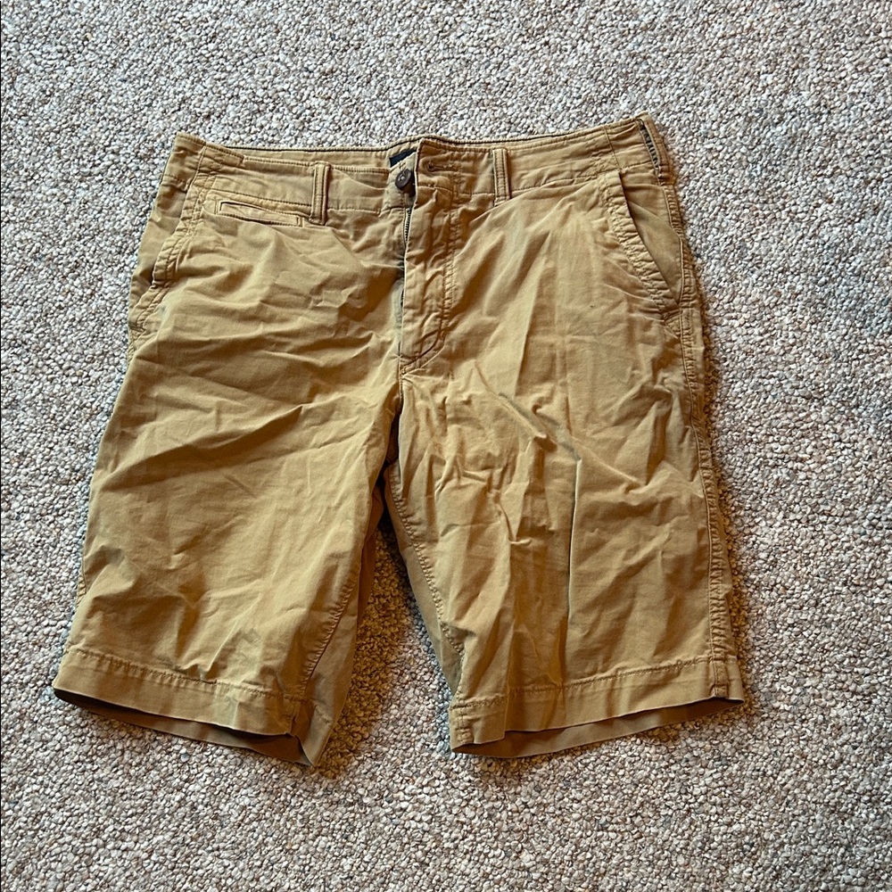 American Eagle Outfitters Men's Brown Flat Front Shorts